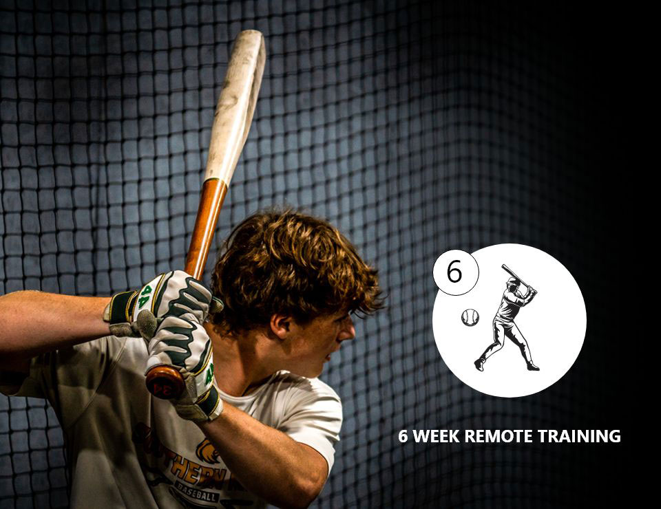 6 Week Remote Training